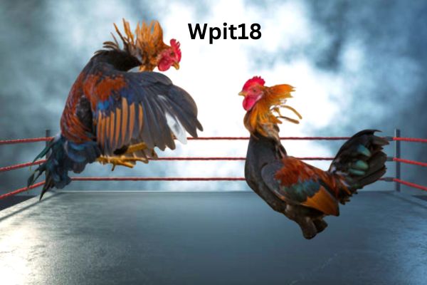 WPIT18 ONLINE SABONG COCKFIGHTING GAMES